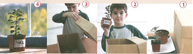 (בספר איור של:)